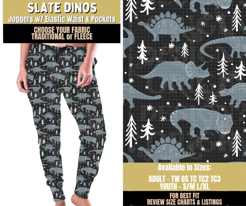 Preorder! Closes 9/9. ETA Dec. Slate Dinos Joggers Choose Fleece or Traditional